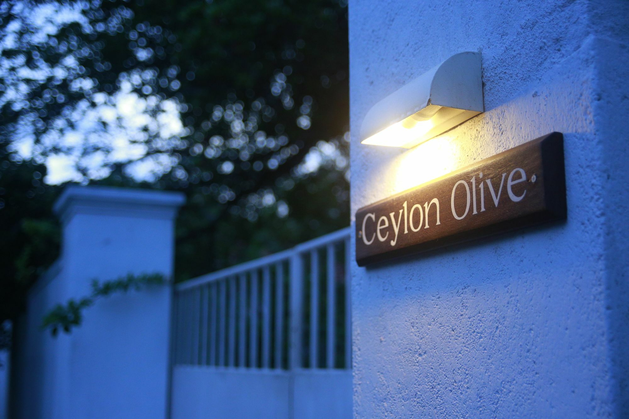Ceylon Olive Galle Exteriér fotografie